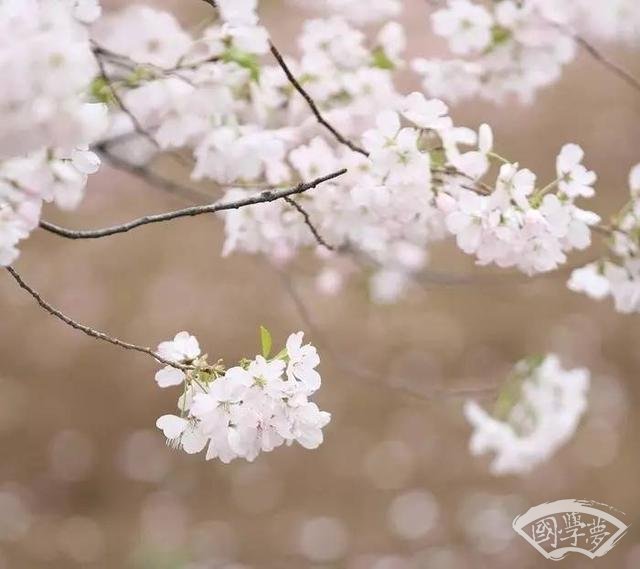 王陽(yáng)明十句話：人生問(wèn)題的靈丹妙藥